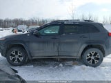 Jeep Cherokee 1C4PJMBS6GW224219 снимка