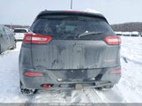 Jeep Cherokee 1C4PJMBS6GW224219 снимка