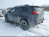 Jeep Cherokee 1C4PJMBS6GW224219 снимка