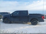 Ford F-150 Xlt 1FTEW1EP6MKE09663 снимка