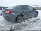 Toyota Corolla Ce 2T1BU4EE0CC816323 снимка