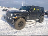 Jeep Wrangler Unlimited Sahara 1C4HJXEG2KW674374 снимка