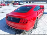 Ford Mustang 1FA6P8THXK5188902 снимка