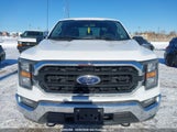 Ford F150 Supercrew 1FTFW1E53PKD75950 снимка