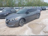 Nissan Maxima 3.5S/Sv/Sl/Sr/Plat 1N4AA6AP7GC430963 photo