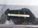Honda Accord Lx 1HGCM56444A810192 снимка