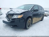 Honda Odyssey Ex-L 5FNRL5H62EB511822 снимка