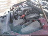 Toyota Camry L/Le/Xle/Se/Xse 4T1B11HK4JU539812 photo