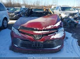 Toyota Camry L/Le/Xle/Se/Xse 4T1B11HK4JU539812 снимка
