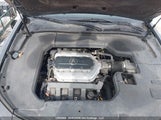 Acura Tl 19UUA8F24CA800242 снимка