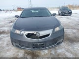Acura Tl 19UUA8F24CA800242 снимка