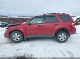 Ford Escape Xlt Automatic 1FMCU93G79KC18724 снимка