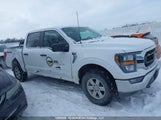 Ford F150 Supercrew 1FTEW1EP6PKD80251 снимка