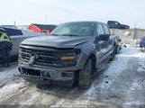 Ford F-150 1FTFW3L56RKE41134 photo