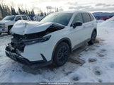 Honda Cr-V Exl 2HKRS6H73RH205074 снимка