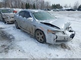 Acura Tl 19UUA66295A800051 снимка