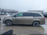 Honda Odyssey 5FNRL5H47BB502298 fotografie