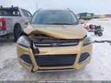 Ford Escape Titanium 1FMCU9J97EUD34427 photo