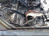 Hyundai Elantra L 5NPDH4AE8DH338248 снимка