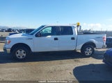 Ford F150 Supercrew 1FTFW1EF5EFB53103 снимка