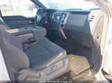 Ford F150 Supercrew 1FTFW1EF5EFB53103 снимка