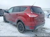 Ford Escape Se 1FMCU9GX9EUB50791 снимка