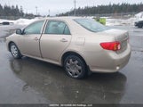 Toyota Corolla Ce 2T1BU4EE9AC231107 снимка