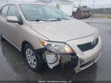 Toyota Corolla Ce 2T1BU4EE9AC231107 fotografie
