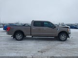 Ford F150 Supercrew 1FTFW1E86MFB21339 снимка