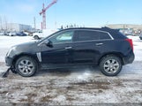 Cadillac Srx Luxury Collection 3GYFNEE3XGS520652 снимка