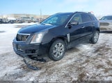 Cadillac Srx Luxury Collection 3GYFNEE3XGS520652 снимка