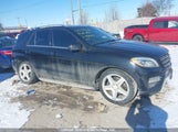 Mercedes-Benz Ml 350 Bluetec 4JGDA2EB3EA438447 снимка