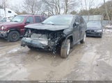 Toyota Rav4 Xle/Xle Premium 2T3R1RFV4SC559692 fotografie
