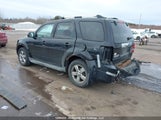 Ford Escape Limited 1FMCU94G09KB39040 снимка