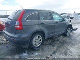 Honda Cr-V Exl 5J6RE4H7XBL818543 снимка