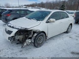 Toyota Corolla 2T1BU40E49C040228 fotografie