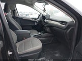 Ford Escape Se Hybrid 1FMCU9BZ6MUA22838 fotografie