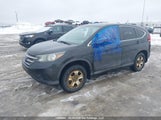 Honda Cr-V Lx 2HKRM4H31CH117708 снимка