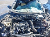 Hyundai Veloster Turbo KMHTC6AE8GU252255 снимка