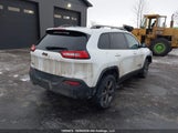 Jeep Cherokee 1C4PJMCB1GW290269 fotografie