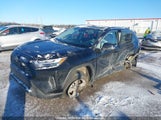 Toyota Rav4 Xle/Woodland Edition 2T3RWRFV3SW277687 photo