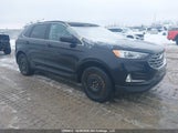 Ford Edge Sel 2FMPK4J93MBA55541 fotografie