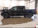 Ford F-150 Xlt 1FTFW3L53RKE27711 fotografie
