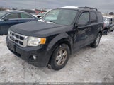 Ford Escape Xlt Automatic/Xlt Manual 1FMCU0D70AKB38714 снимка
