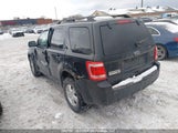 Ford Escape Xlt Automatic/Xlt Manual 1FMCU0D70AKB38714 снимка