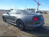 Ford Mustang Gt Premium 1FA6P8CF9M5116655 снимка