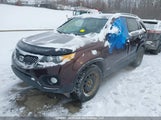 Kia Sorento Lx V6 5XYKTDA23DG396397 снимка