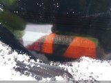 Acura Mdx Technology 5FRYD4H4XEB502415 снимка