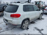 Volkswagen Tiguan Comfortline/Highline/Special Edition/Trendline WVGJV7AX5FW518987 снимка