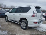 Lexus Gx 460 Premium JTJJM7FX3E5070623 снимка